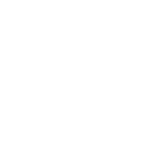 novey.png